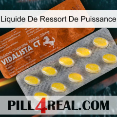 Power Spring Liquid 42